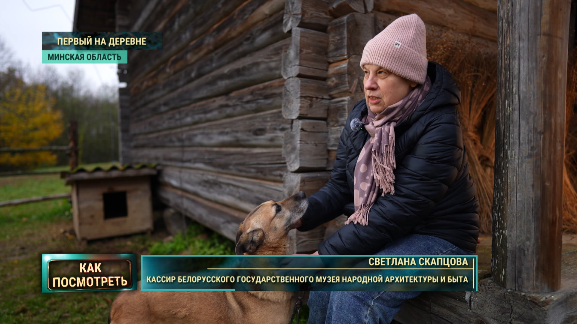 Музей без клеток: как в Озерце живут лошади, овцы и коты-«сотрудники»